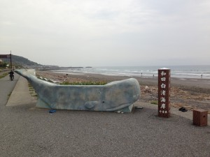 和田白渚海岸