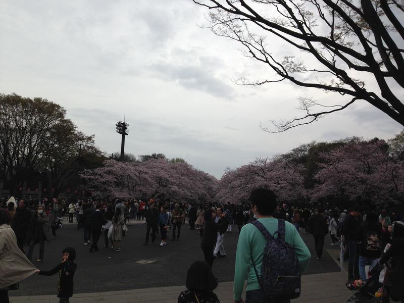 ueno park.jpg